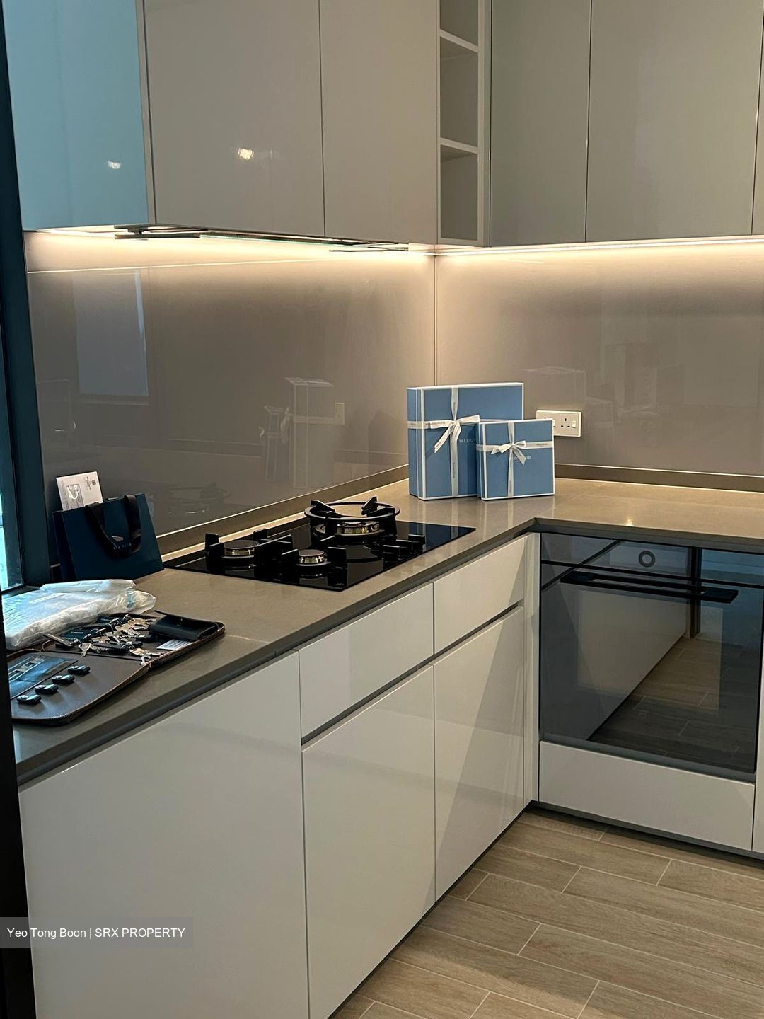Amber Park (D15), Condominium #618862031